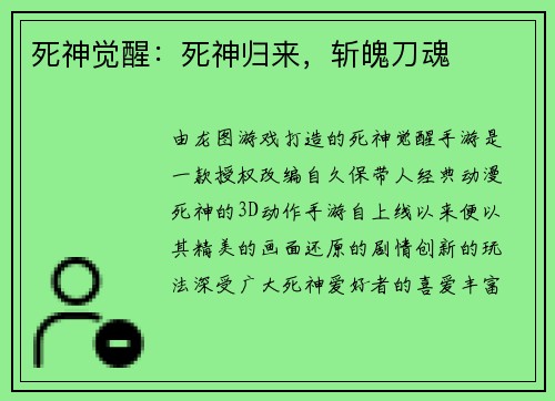 死神觉醒：死神归来，斩魄刀魂