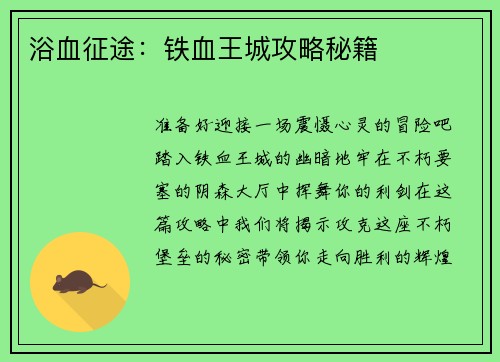 浴血征途：铁血王城攻略秘籍