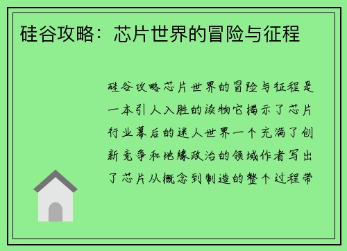 硅谷攻略：芯片世界的冒险与征程