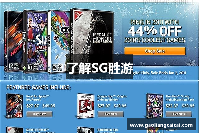 了解SG胜游